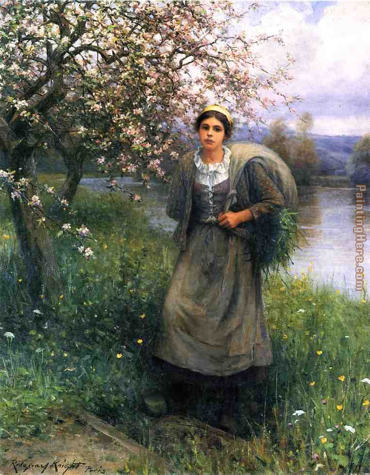 Apple Blossoms in Normandy painting - Daniel Ridgway Knight Apple Blossoms in Normandy art painting